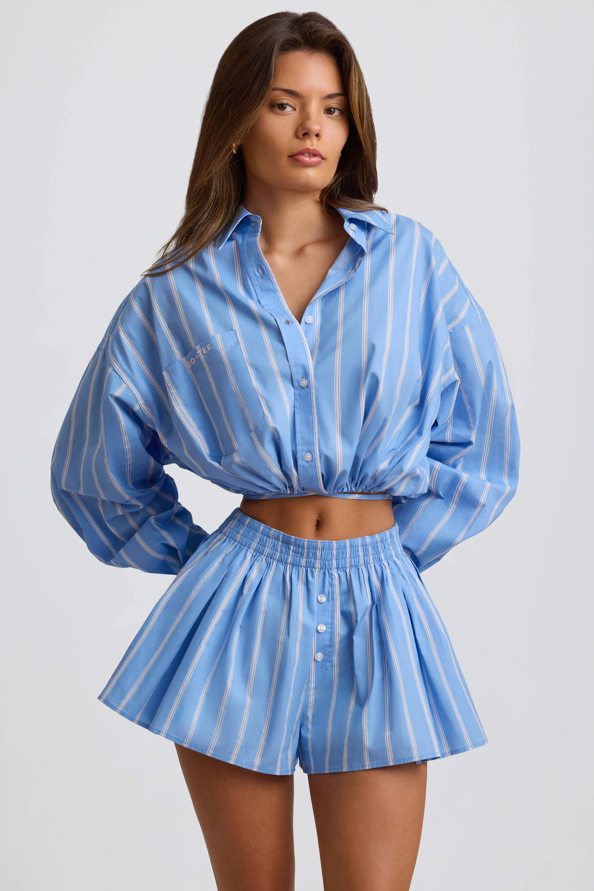 Cotton Poplin Stripe Pleated Shorts in Blue Stripe - Image 5
